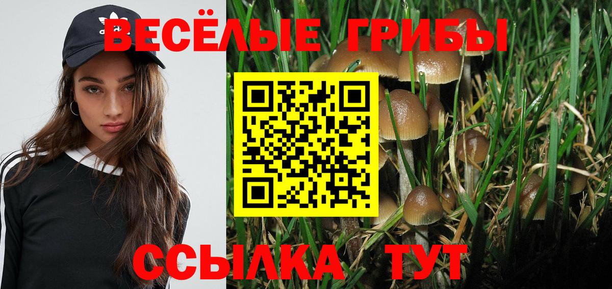 Бор  Галлюциногенные грибы Cubensis  Вход с VPN 